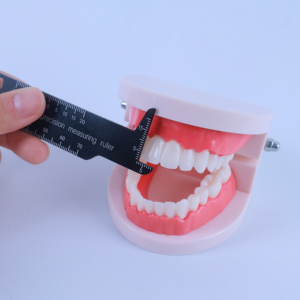 Strumenti Medici all'Ingrosso, Righello Dentale per Misurazioni e Fotografia - Product Image 6