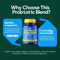 Complément alimentaire probiotique OEM pour la santé intestinale des adultes, favorise l'équilibre digestif et le système immunitaire.