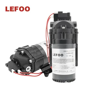 LEFOO 115V AC RV 신선한 물 펌프 요구 다이어프램 펌프 rv 마린