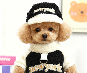 Pull décontracté en polyester style New York pour animaux de compagnie (chiots et chatons) – Collection Automne/Hiver – Noir - Product Image 3