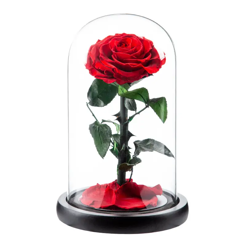 メーカー人気の新しいバラのギフトボックス結婚式バレンタインデー母の日ギフト永遠の花ガラスカバープロモーション用
