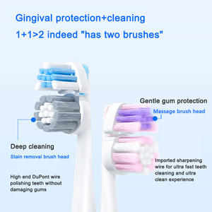 Vente directe d'usine, conception à double fréquence, longue durée de vie de la batterie, réglage à trois vitesses, <span class=keywords><strong>brosse</strong></span> à dents électrique absorbant les chocs - Product Image 3