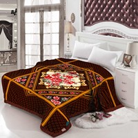 Couverture de lit en polyester super douce et luxueuse, multi-tailles, style coréen, en peluche épaisse et chaude, imprimée, en raschel, personnalisable, pour une utilisation toute l'année