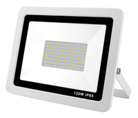 Projecteur LED extérieur en aluminium moulé sous pression, IP65, ultra fin, réflecteur LED 50W 100W 150W 200W 300W