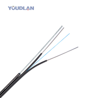 Cable de Fibra Óptica FTTH de 1 Fibra y 2 Hilos, 1.0mm Messenger, 2x0.5mm FRP, Rollo de 1km/2km para Comunicación