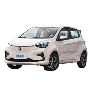 Changan Ev460 2023 LFP Battery Pure New Electric Mini Car Changan BENBEN E-STAR Car