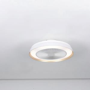 Ventilador de Techo Moderno XD206 con Control Remoto, Sin Aspas, con Luz LED, Lámpara Acrílica, Diseño AGI32, Fabricantes de Ventiladores de Techo - Product Image 1