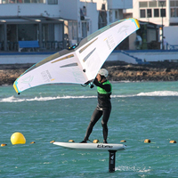 Moule privé Oem Odm personnalisé Waterplay Surf planche de surf en fibre de carbone E Foil Surf WingFoil Wing Hydrofoil Pumping Foil Foil
