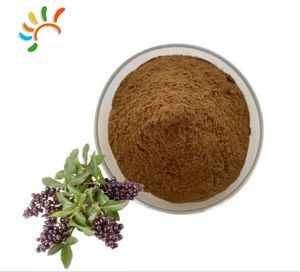 Fusti confezionati sottovuoto di migliore qualità per uso alimentare Fructus Ligustri <span class=keywords><strong>Lucidi</strong></span> 10:1 in polvere e 20:1 concentrazione sottovuoto - Product Image 1