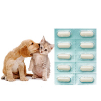 Blister pour aliments pour chiens de marque privée Capsules multivitaminées Nutrition Multivitamines Vitamines et suppléments pour chiens
