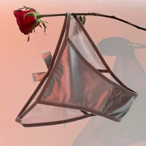 Culottes string sexy taille haute en coton pour femme, dentelle transparente, grande taille, satin fin, respirantes, écologiques, séchage rapide - Product Image 6