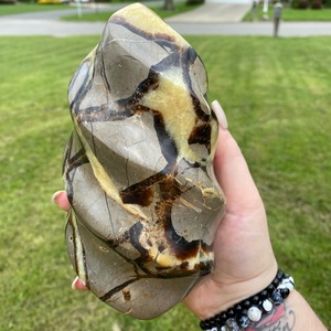 Natural Septarian Stone Flame Carving Polished Crystal <b>Ornament</b> for Reiki Healing Feng Shui Home Office Decor Wholesale - Product Image 1
