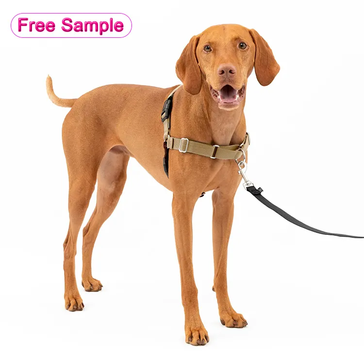 Designers Custom Dog Accessories Adjustable OEM Breathable Dog Training Harness