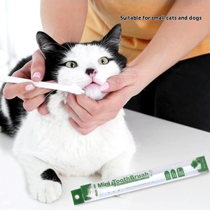 2025 nuovo spazzolino da denti per animali domestici Jx-0075 testa singola spazzolino da denti per gatti e animali domestici - Product Image 4