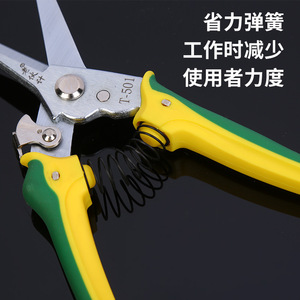 Old Friend Pruning Shears Stainless Steel 65mm Blade 20-30mm Trimming Diameter <b>Butterfly</b> Design <b>Gardening</b> Tool - Product Image 2