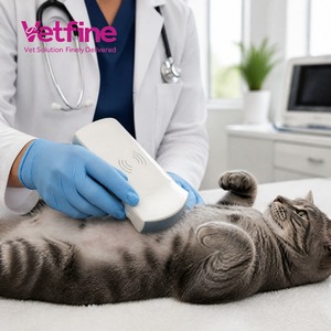 Échographe vétérinaire sans fil à sonde convexe, imagerie en mode B pour petits animaux, équipement de diagnostic pour hôpitaux vétérinaires - Product Image 2