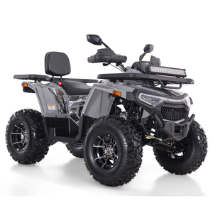Tao Motor 2026 Vente en gros Transmission automatique par chaîne 4x2 Utilisation agricole Cuatrimotos Location Adulte 250cc VTT avec CE EPA - Product Image 2