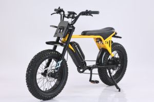 Fournisseur chinois <span class=keywords><strong>de</strong></span> vélos électriques à gros pneus, vélo <span class=keywords><strong>de</strong></span> <span class=keywords><strong>ville</strong></span>, tout-terrain, puissant, haute vitesse, <span class=keywords><strong>sport</strong></span>, course, batterie au lithium 20Ah - Product Image 2