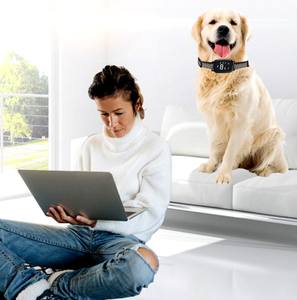 Intelligenz Anti-Bark Hunde halsband NO REMOTE Smart Automatic Control Ultraschall Schock Vibration Sound Hunde training Halsband - Product Image 3