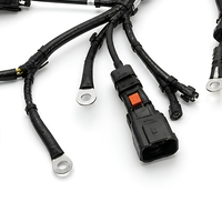 Câblage de distribution d'énergie pour véhicules électriques, assemblage de faisceaux de câbles pour les fabricants de groupes motopropulseurs électriques