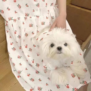 Vestido De Verão De Cão Por Atacado Para Cães Pequenos Vestido Floral Gato Maltês Bonito Roupas Minúsculas Pet Estilo Coreano - Product Image 3