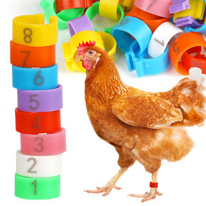 1.6/2Cm Eendendenduif Plastic Rubberen Voetring Met Nummers Kleurrijke Snap-On Gevogelte Kippenvogelbeenringen - Product Image 1