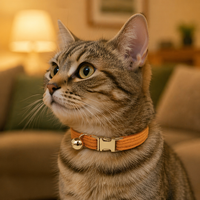 Collier pour chat en velours côtelé personnalisé avec logo, moderne, simple, confortable, avec clochette, mignon, multicolore, sangle douce pour le cou