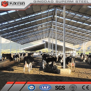 Bâtiment à structure en acier <span class=keywords><strong>Boeuf</strong></span> Veau Vache Étable laitière Maison préfabriquée Hangar de <span class=keywords><strong>grange</strong></span> - Product Image 3
