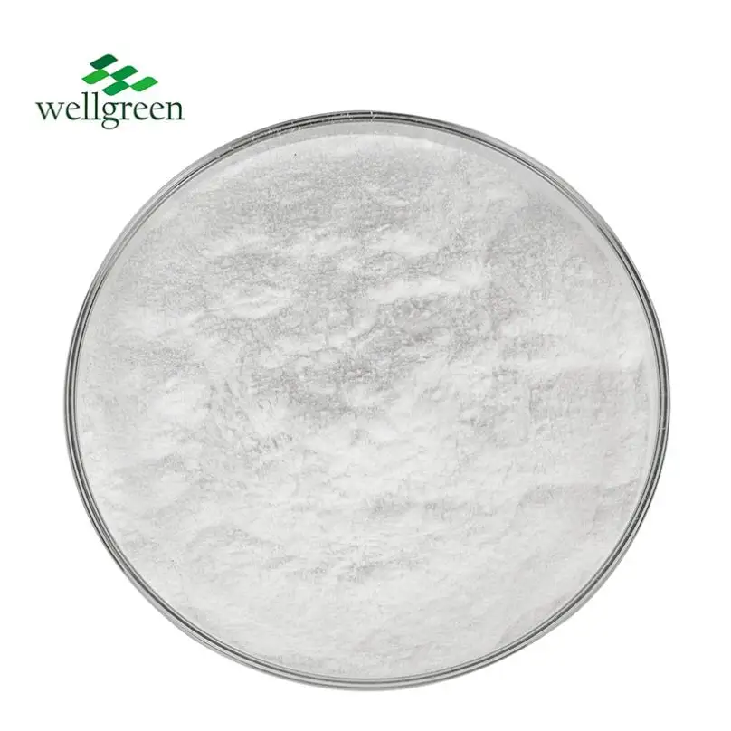 Wellgreen USP43 sınıf sığır kondroitin sülfat 90% toz