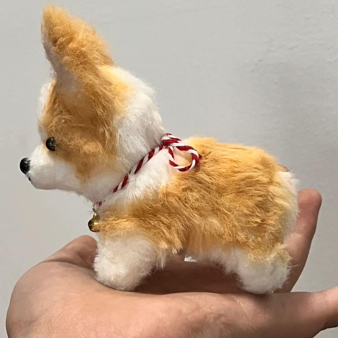 Chiot Koji-1 [tutoriel sur le paquet de matériel]