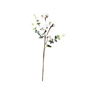 Dried <strong>Cotton</strong> Real Floral <strong>Stems</strong> Flowers 4 <strong>Cotton</strong> Heads With Eucalyptus Leaves for Home Farmhouse Floral Decoration - Product Image 6