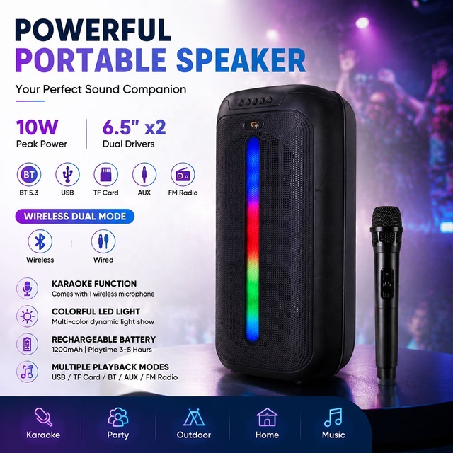 Popular Wireless Dual 6.5-Inch Karaoke Speaker 10W with Built-in Mic RGB LED Lights TWS Pairing for Outdoor Parties Backyard BBQ