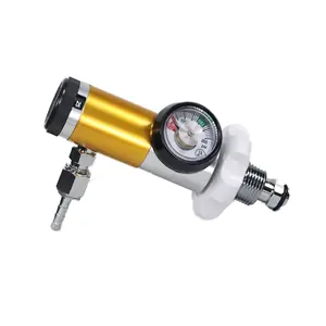 Regulator gas 3000psi CGA580 regulator N2 peredam tekanan Nitrogen untuk pasar Kanada