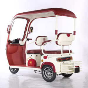 Vente chaude Adultes Utilitaire Motos Utv Véhicule Triciclo Eléctrico avec Vélo De Toit Ouvert Ebike Electrica Triciclo Eléctrico - Product Image 6