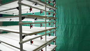 Lyine 6-2 thực phẩm cấp PVC thủy canh lúa mạch thức ăn gia súc hệ thống máy - Product Image 3