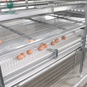 Cage à <span class=keywords><strong>poules</strong></span> automatique multi-niveaux moderne <span class=keywords><strong>pour</strong></span> élevage commercial, cage à batterie <span class=keywords><strong>pour</strong></span> <span class=keywords><strong>poules</strong></span> pondeuses, <span class=keywords><strong>volière</strong></span> sans cage <span class=keywords><strong>pour</strong></span> <span class=keywords><strong>poules</strong></span> pondeuses - Product Image 4