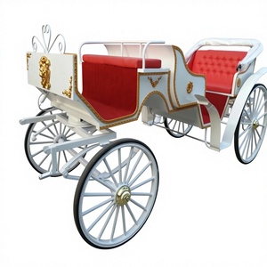 Carrozza Vittoriana Reale per Matrimoni ed Eventi Speciali - Carrozza Pieghevole a Tettuccio, Trainata da Cavalli ed Elettrica - Product Image 6