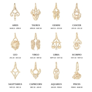 Collana di vendita calda donna gioielli di nicchia Designer 925 argento oro 18k Leo 12 segni zodiacali - Product Image 5