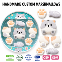 Bonbons Gélifiés Halal en Forme de Poisson Chat, Saveur Fruitée, Vente en Gros, Fabricant Personnalisé, Boîte Thème Dessin Animé TikTok