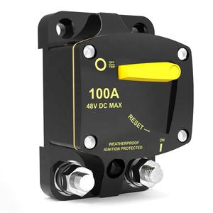 12V 48V Hochspannungs-2-Pol-Stahl-Automobil-Schutzschalter mit Manueller Rückstellung 50A 60A 100A 150A 200A 120A DIN-Schienen-Montage 18kA Leistungsschalter - Product Image 6