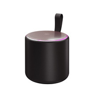 Mini-enceinte S27 5.3 avec micro intégré, batterie 1000-2000 mAh – Subwoofer portable compact pour usage domestique et automobile