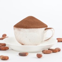 Fábrica al por mayor cacao en polvo natural TR0101 ingredientes de cacao para bebidas producto hecho de granos de cacao de Ecuador