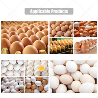 Máquina Clasificadora de Huevos ORME, Seleccionadora por Peso, Impresora, Clasificadora Automática de Huevos, Precio
