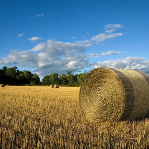 Nhựa lưới nông nghiệp Bale bọc Net phân hủy sinh học mạnh mẽ nhựa Pallet lưới - Product Image 2