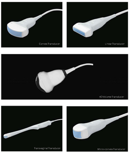 Offres Spéciales Chariot Couleur Doppler Ultrasonique Ecografo Chariot Ultrasonido Prix 2D 3D 4D - Product Image 6