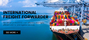 Trasporto Marittimo per Container FCL 40HQ dalla Cina a Francia, Germania, Paesi Bassi, Belgio, Italia, Spagna con Tempo di Transito di 40-55 Giorni - Product Image 6