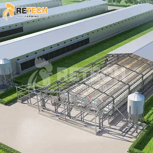 현대 디자인 20000 마리의 새를 위한 자동적인 조립식 강철 구조물 가금 집 층 닭 농장