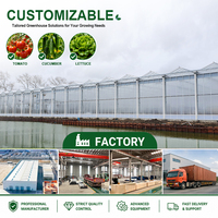 Serre agricole double vitrage de qualité commerciale, structure Venlo multi-travées en acier galvanisé renforcé et robuste