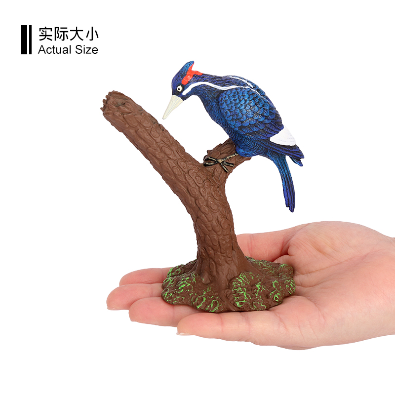 3621 pájaro pájaro carpintero