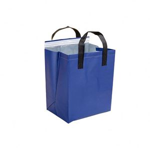 Wholesale Disposable Thermal Nonwoven Cooler Bags Handle Custom Durable Insulated Takeaway Hot Cold Bag - Product Image 6
